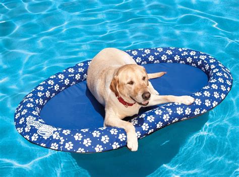 SwimWays Spring Float Paddle Paws Dog Pool Float | Best Products From Walmart 2019 | POPSUGAR ...