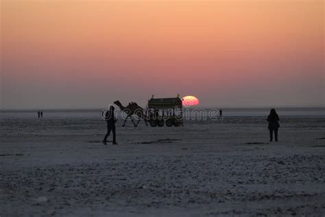 Sunrise at Rann of Kutch Festival - Camel Cart - Rann Utsav - White ...