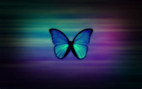 Purple Butterfly Abstract Wallpapers - Top Free Purple Butterfly Abstract Backgrounds ...