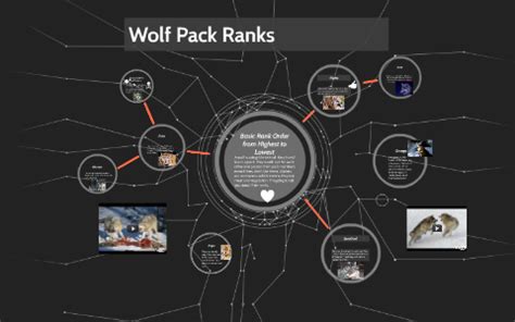 Wolf Pack Ranks by CaptainFlapJack of the syrup ship on Prezi