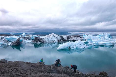 Whaling may repel tourists, fears Iceland tourism industry | TravelAndY