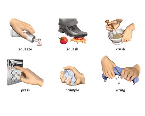 wring verb - Definition, pictures, pronunciation and usage notes ...