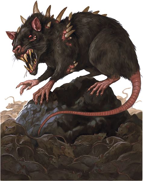 Cranium Rat Angry Rats Dnd Png,Rats Png Free Transparent, 59% OFF