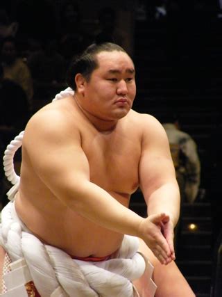 Sumo’s Four-Decade Revolution