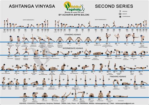 Ashtanga Yoga Sequence, Ashtanga Yoga Primary Series, Ashtanga Vinyasa Yoga, Yoga Sequences ...