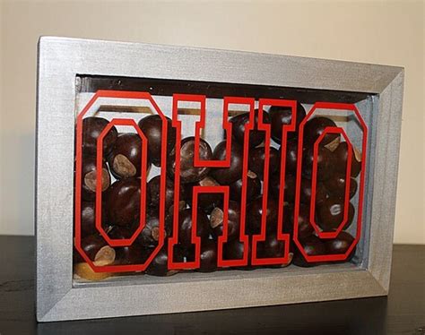 Ohio State Wall Decor OHIO