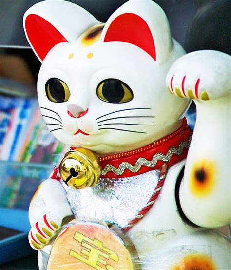 El GATO CHINO de la SUERTE SIGNIFICADO (Maneki neko)