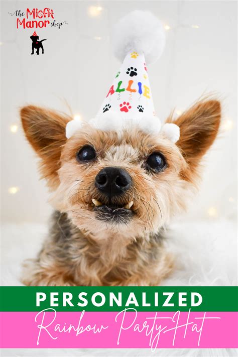 Personalized Dog Birthday Hats | Dog birthday hat, Dog birthday, Dog ...