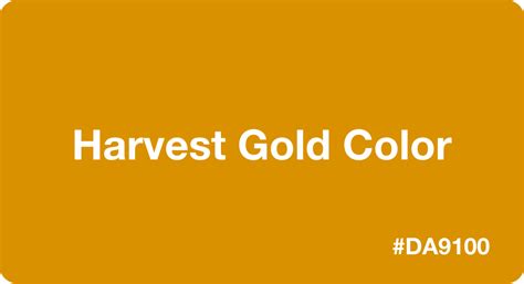 Harvest Gold Color: Best Practices, Color Codes, Palettes & More!