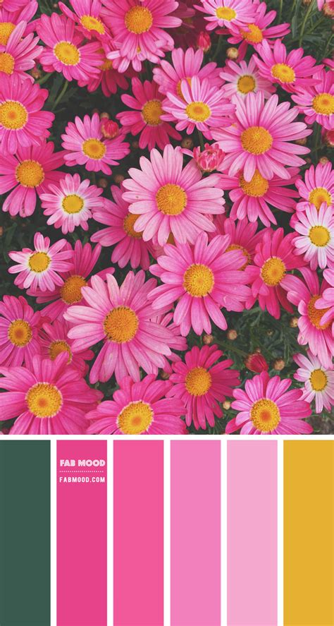 Fuschia Color Palette