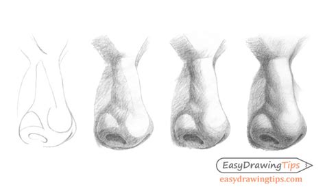 How to Draw & Shade a Nose in Three Quarter View