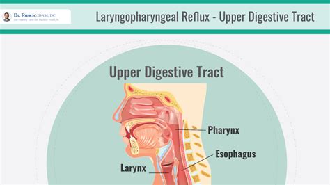 How to Identify and Treat Laryngopharyngeal Reflux (LPR)