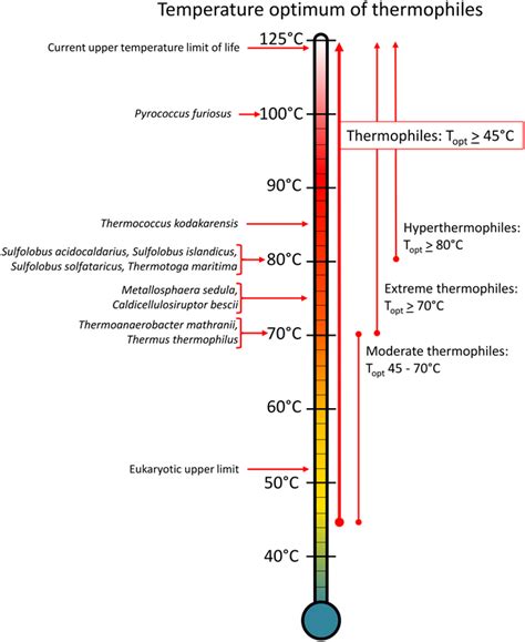 Thermophile Cell