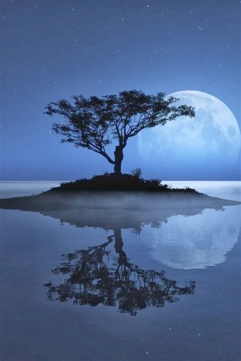 20 Amazing Reflections on Water | Reflection pictures, Nature wallpaper, Beautiful moon