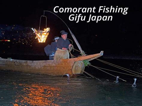 Cormorant Fishing JAPAN – artphototravel