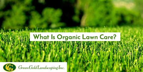 What Is Organic Lawn Care? - Green Gold Landscaping Inc