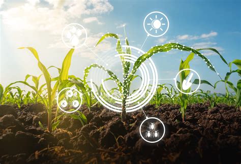 Climate-smart agriculture and sustainable land use - The Agrotech Daily