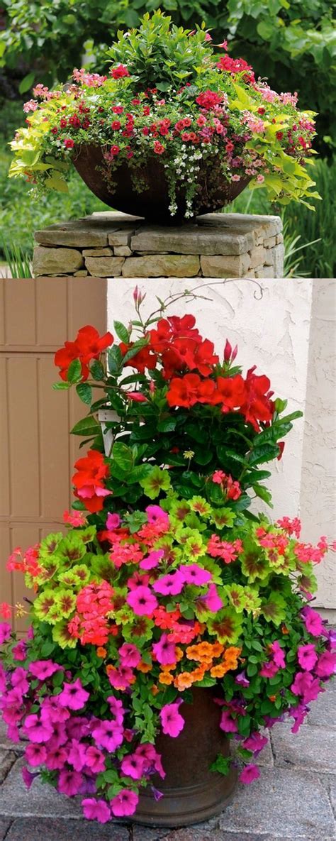 1368 best Outdoor plant containers images on Pinterest | Gardening, Flower pots and Garden ideas