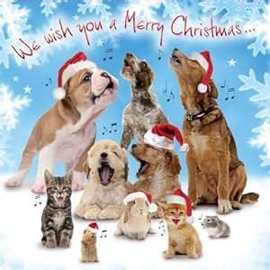 Singing Barking Dogs Animal Charity Christmas Cards Pack of 10 - We ...