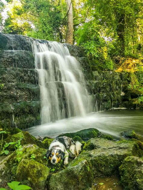 A Circular Walk From Roche Abbey - Welcome to Yorkshire