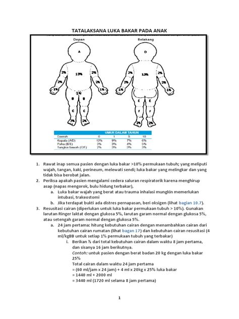 Tatalaksana Luka Bakar Pada Anak | PDF