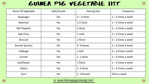 What Vegetables Can Guinea Pigs Eat? The Ultimate Guide! - The Happy ...