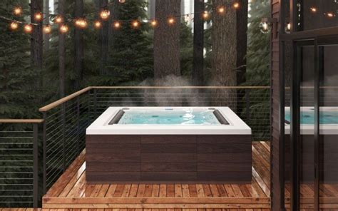 ᐈ 【Aquatica Downtown Infinity Spa With Thermory Wooden Siding (220/240V/ 50/60Hz)】 Buy Online ...