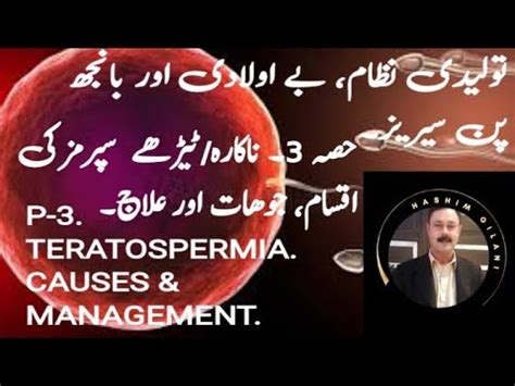 TERATOSPERMIA CAUSES & MANAGEMENT||ROLE IN INFERTILITY||TREATMENT ...