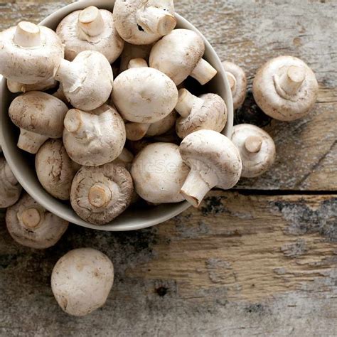 White Button Mushrooms / Agaricus macrocarpus - Organic Mushroom Dry Mycelium - Shipping is free ...