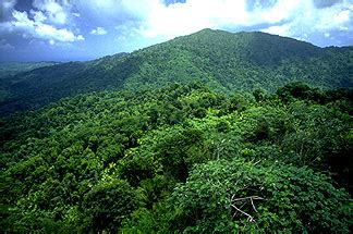 Bosques de Puerto Rico