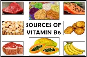 What is Vitamin B6? Definition, Sources, Deficiency & Function - Biology Reader