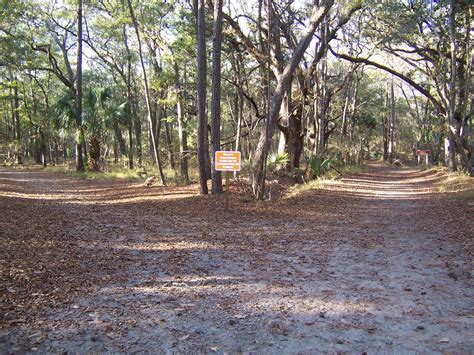 Adventures Of Toaster: Skidaway Island State Park