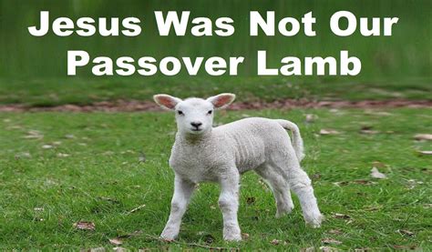 Jesus Was Not Our Passover Lamb - Jews for Judaism