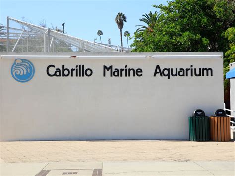 Cabrillo Marine Aquarium | Discover Los Angeles