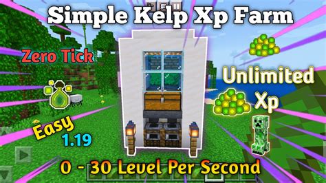 Simple 1.19 Kelp Xp Farm Tutorial In Minecraft Bedrock in 2022 | Bedrock, Minecraft, Kelp