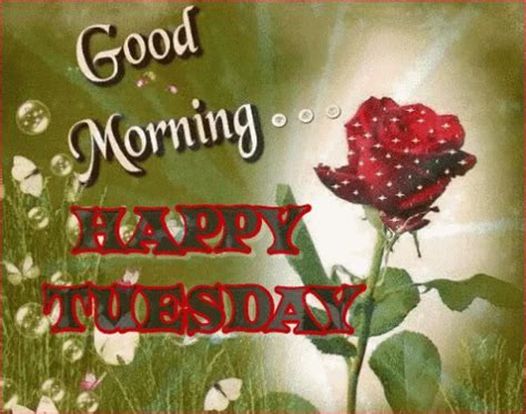 Good Morning Tuesday GIF - GoodMorning Tuesday HappyTuesday - Discover & Share GIFs