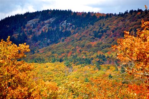 Maine Fall Foliage Driving Tours