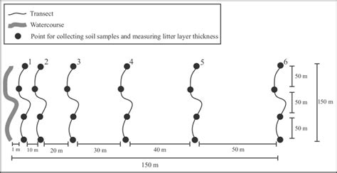 Schematic representation of a sampling unit of the study conducted in ...