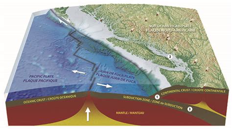 Earthquakes Vancouver Island - GuruAriadni