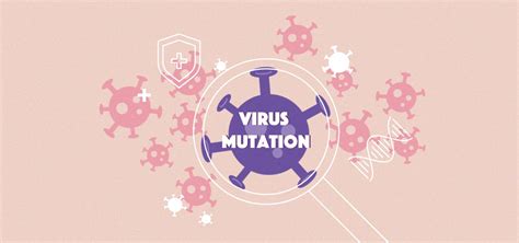 The How and Why of Virus Mutation and What This Means for Virologists