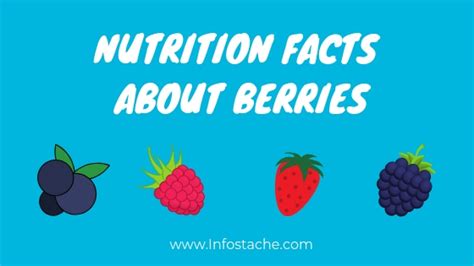 Nutrition Facts About Berries [Infographic] - Infostache