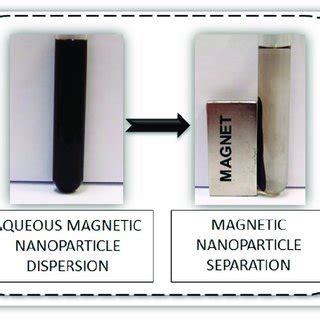 Magnetic properties of maghemite nanoparticles dispersed in water ...