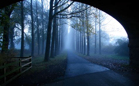 morning, Road, Fog, Trees, Landscape Wallpapers HD / Desktop and Mobile Backgrounds