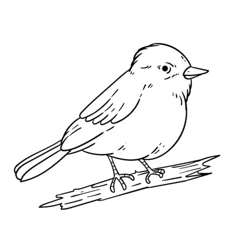 Free Vector | Hand drawn bird outline illustration