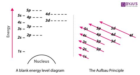 [DIAGRAM] Neck Levels Diagram - MYDIAGRAM.ONLINE