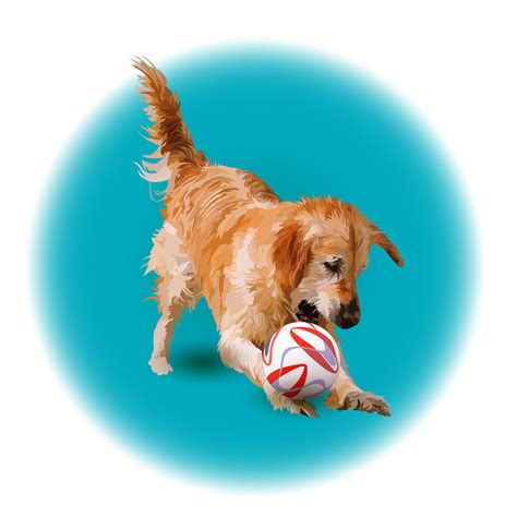 Golden Retriever playing with ball on Behance