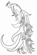 Peacock Coloring Pages  Free Printable For Kids sketch template