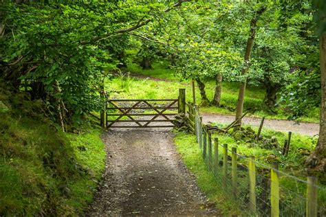 Reeth walk - walks from Reeth - Yorkshire Dales walks