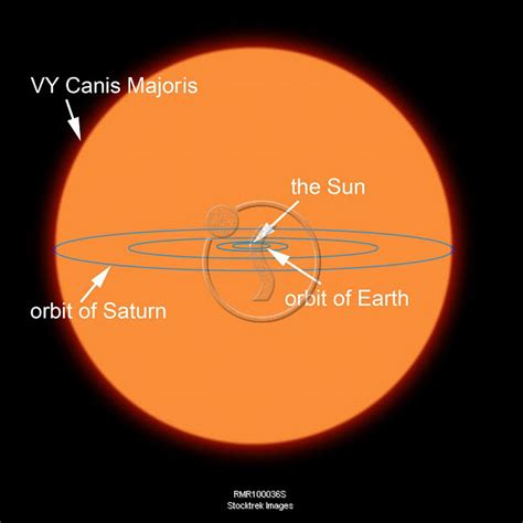 Canis Majoris Compared To The Sun