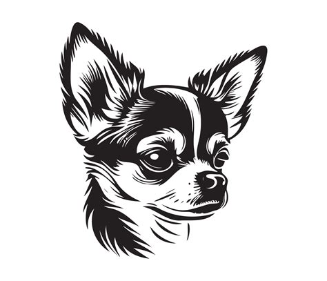 Chihuahua Face, Silhouette Dog Face, black and white Chihuahua vector 22924469 Vector Art at ...